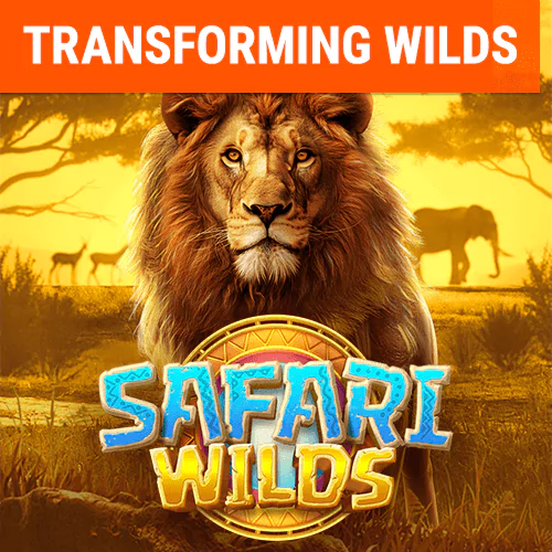 safari wilds web banner en 65cb0cdc9847b
